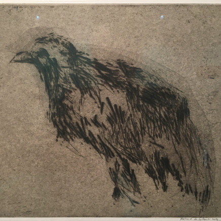 Astrid de La Forest, Empreinte (oiseau noir), 2014