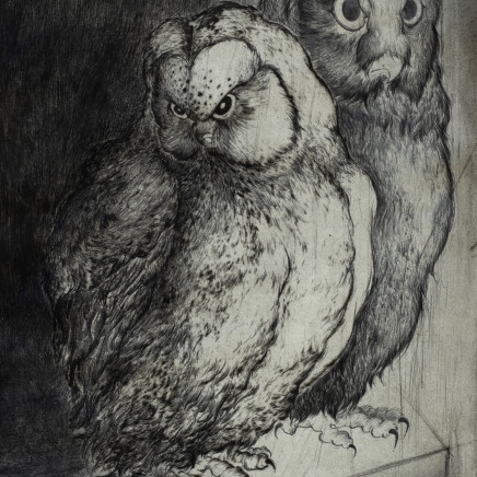 Marjan Seyedin, "Hiboux et chouettes" #7, 2020