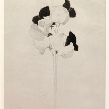 Gunnar Norrman, ÄRTBLOMMOR, 1970