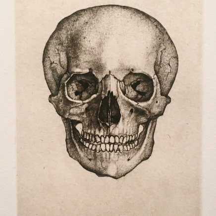 Cécile Reims, Crâne, 1988, édition en 2017