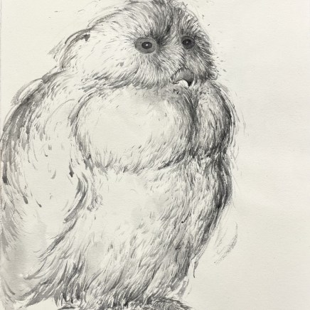 Marjan Seyedin, Hibou en pied 6, 2018