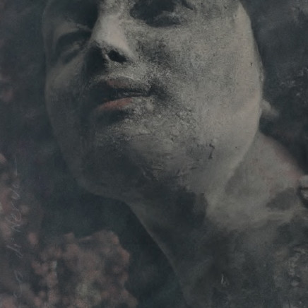 Farhad Ostovani, Bacco di Nervi, 2015