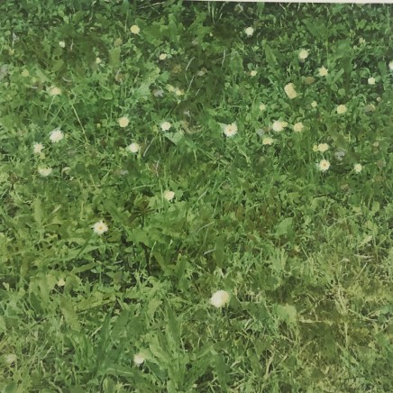 Farhad Ostovani, Primavera - 25, 2021