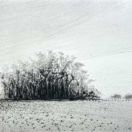 Maurice Maillard, Clair hiver, 2015