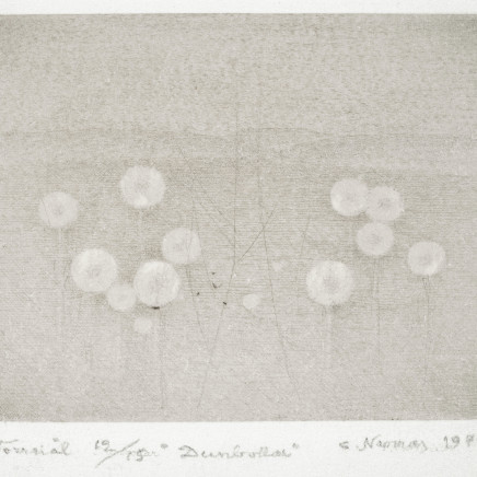 Gunnar Norrman, Dunbollar, 1974