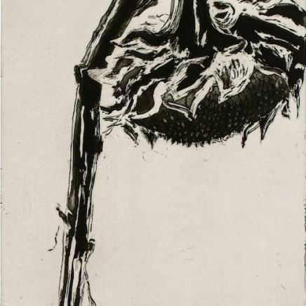 Astrid de La Forest, Tournesol cassé, 2005