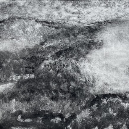 Martin Basdevant, Paysage d'été, 2025