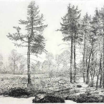 Charles Donker, Bos XVI, Ca. 1997