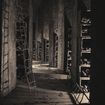 Édith Dufaux, Salle des archives 1, 2010