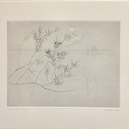 Gunnar Norrman, PILEGREN, 1982