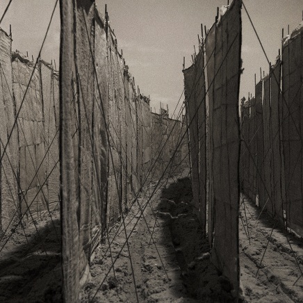 Édith Dufaux, Couloirs de paravents, 2015