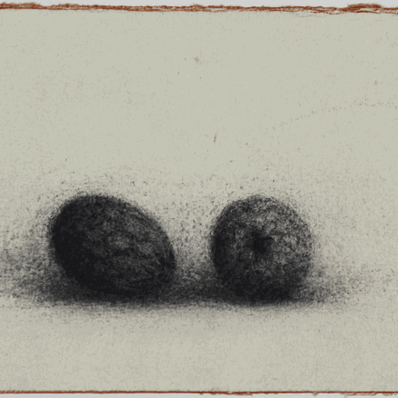 Nicolas Poignon, Les Deux pommes de pin exotiques, 2017