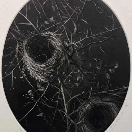 Judith Rothchild, Les Nids, 2024