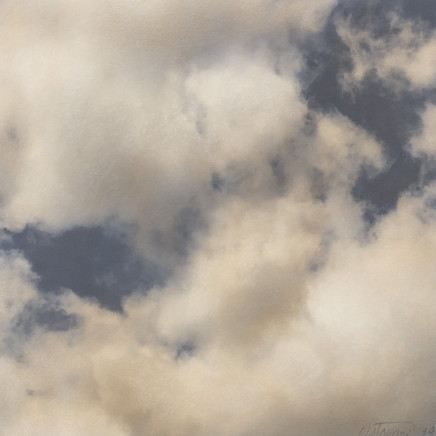 Farhad Ostovani, Nuage (#7), 2019