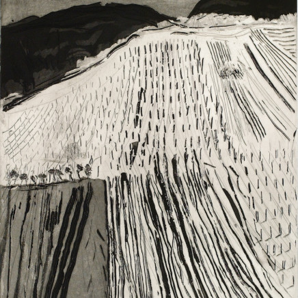 Astrid de La Forest, Grands champs d'hiver, 2005