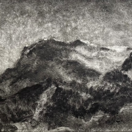 Martin Basdevant, Matin d'été, 2025