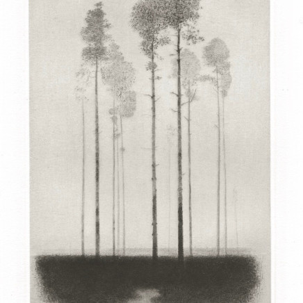 Gunnar Norrman, Tallhed, 1964