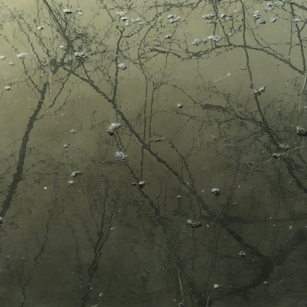 Farhad Ostovani, REFLET DANS L’EAU #16, 2021-2022