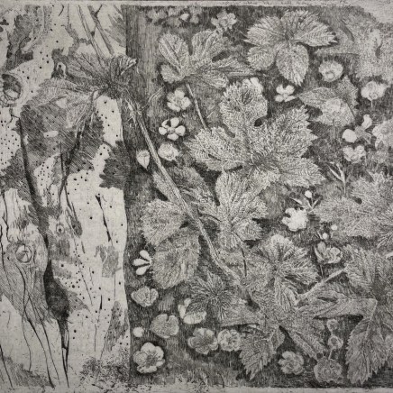 Charles Donker, Hop XVII (Vlierstam Boterbloemen), 2023
