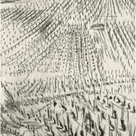 Astrid de La Forest, Vignes III, 2006