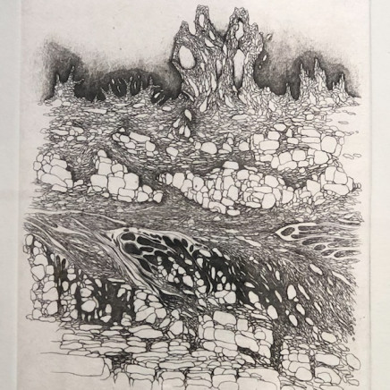 Cécile Reims, D'un Lointain passé - Gravure #4, 1999 - édition en 2017