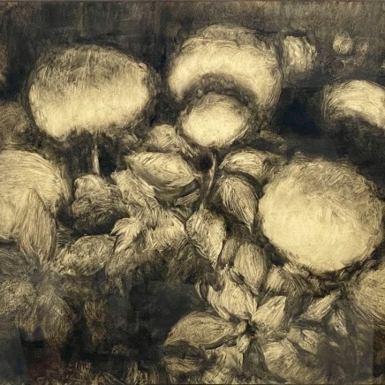 Nicolas Sage, Hydrangea, 2025