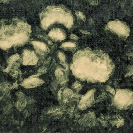 Nicolas Sage, Hortensias I, 2025