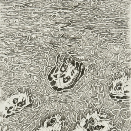 Cécile Reims, L'élan vital - Gravure #4, 2010-2011