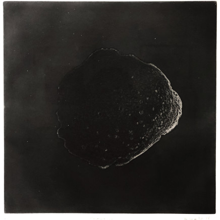 Maurice Maillard, Comme..., 2018