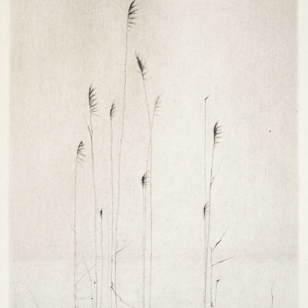 Gunnar Norrman, Höstdimma, 1956