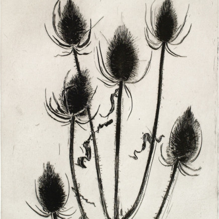 Astrid de La Forest, Chardons d'hiver, 2006