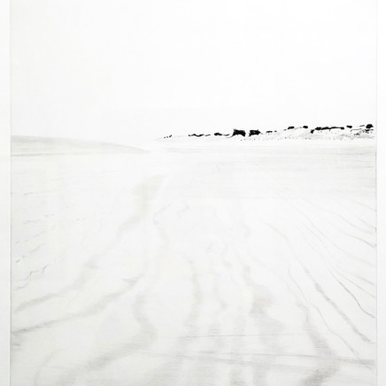 Maurice Maillard, "S'en retourner vers le Comté des sables", 2019