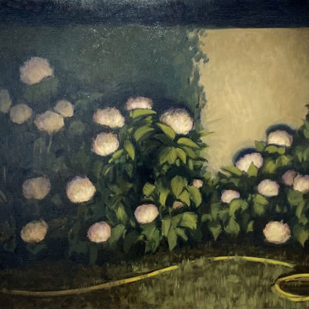 Nicolas Sage, "Hydrangéas - II , 2025