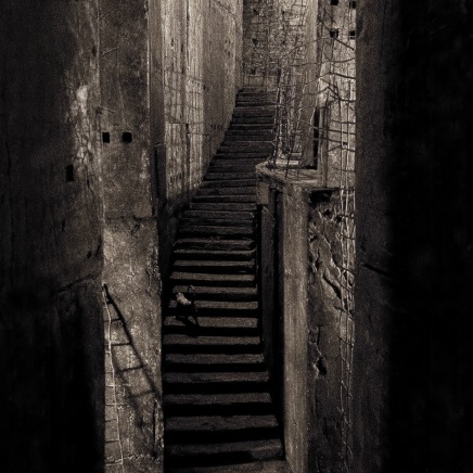 Édith Dufaux, Escalier au singe, 2010