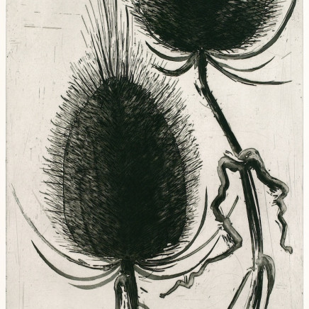 Astrid de La Forest, Grands chardons III, 2006