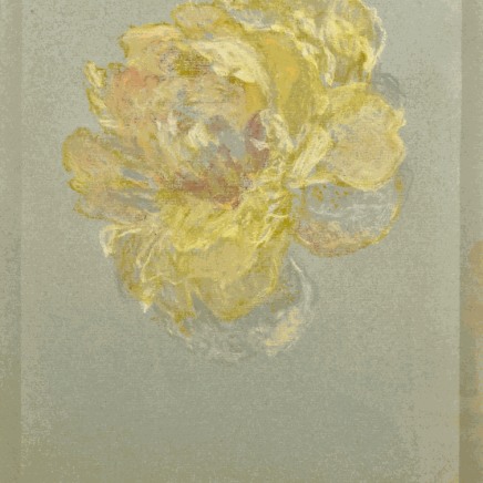 Martin Basdevant, Pivoines I, 2022
