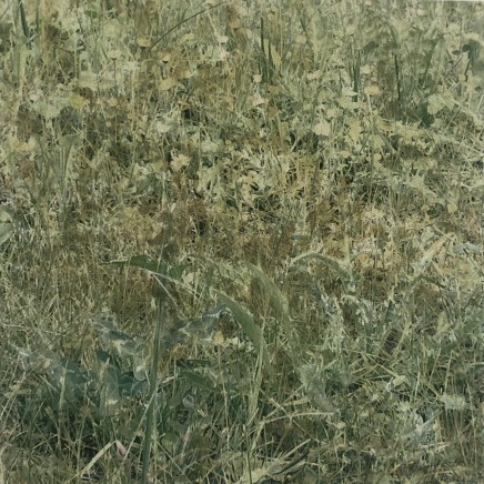 Farhad Ostovani, Primavera - 21, 2021