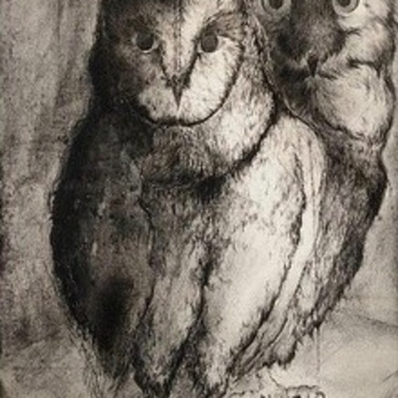 Marjan Seyedin, "Hiboux et chouettes" #11, 2020