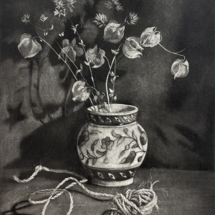 Judith Rothchild, Physalis et ficelle, 2019