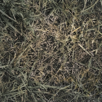 Farhad Ostovani, Primavera - 30, 2021