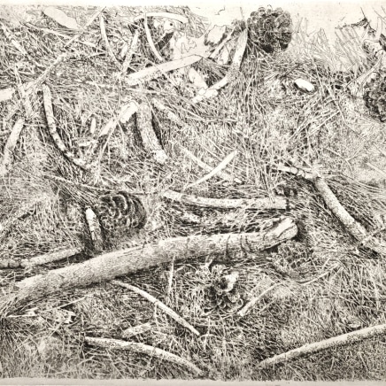 Charles Donker, Bosgrond met dennenappels en houtjes (Sol boisé avec pommes de pin et bâtonnets), 2001
