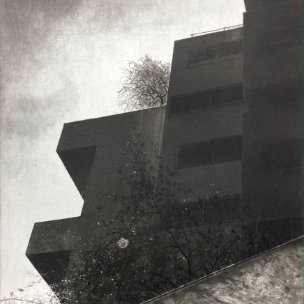 Lucio Mosner, La Première fleur, 2025
