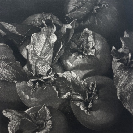 Judith Rothchild, Kaki, 2016