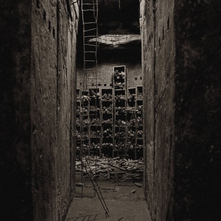 Édith Dufaux, Salle des archives 2, 2011