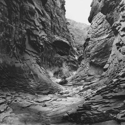 Jon Goodman, Lone Tree, North Canyon, 1993