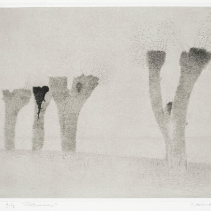 Gunnar Norrman, Pilstammar, 1966