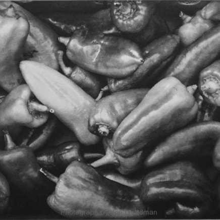 Jon Goodman, Green Peppers, 2004