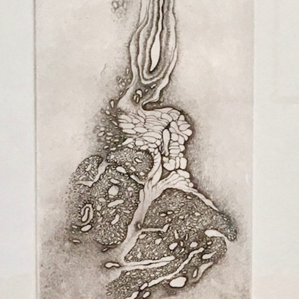 Cécile Reims, D'un Lointain passé - Gravure #2, 1990, édition en 2017