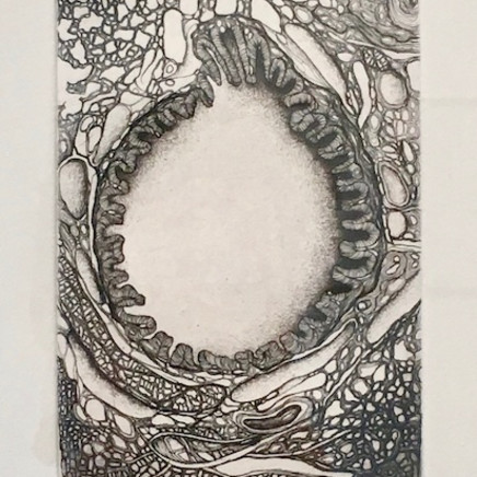 Cécile Reims, D'un Lointain passé - Gravure #3, 1995, édition en 2017