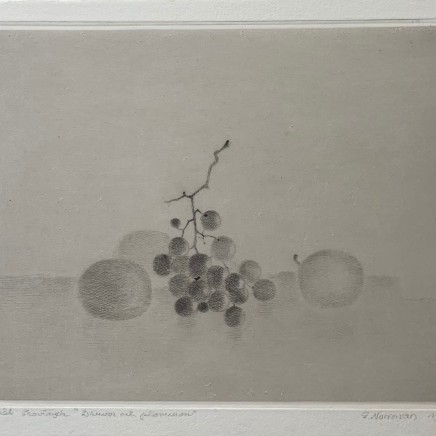 Gunnar Norrman, DRUVOR OCH PLOMMON, 1983